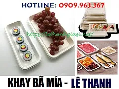 NƠI BÁN SỈ KHAY GIẤY BÃ MÍA ĐỰNG HOA QUẢ TP HCM