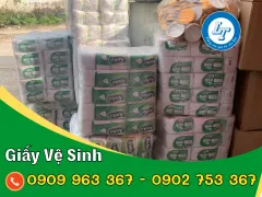 TỔNG KHO GIẤY VỆ SINH CÁC LOẠI GIÁ SỈ RẺ TẠI TPHCM