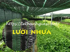 BÁN LƯỚI NHỰA CHE NẮNG GIÁ SỈ TPHCM