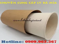 BÁN SỈ LY BÃ MÍA 260ML ĐỰNG TRÀ, CÀ PHÊ NÓNG, LẠNH