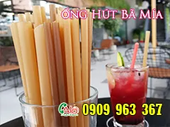 SỬ DỤNG ỐNG HÚT BÃ MÍA CÓ TỐT KHÔNG? GIÁ BAO NHIÊU TIỀN?