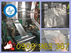 PHÂN PHỐI TÚI XỐP TRẮNG TRƠN, TRẮNG GAI GIÁ RẺ TẬN NƠI