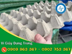 KHAY TRỨNG GIẤY HÀNG VIỆT NAM GIÁ SỈ TẠI NHÀ MÁY