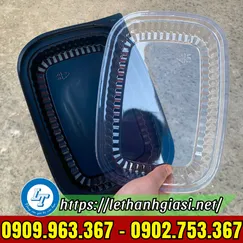 HỘP NHỰA ĐẾ ĐEN HT203