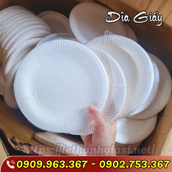 DĨA GIẤY NHỎ D13CM