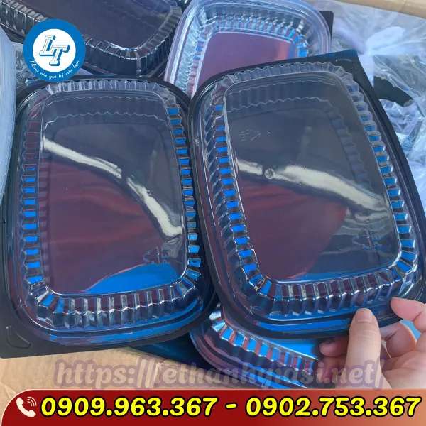 HỘP NHỰA ĐẾ ĐEN HT203