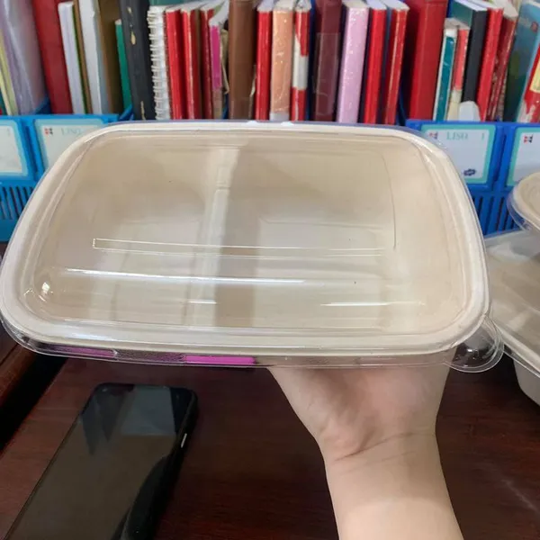 HỘP BÃ MÍA 2 NGĂN NẮP NHỰA