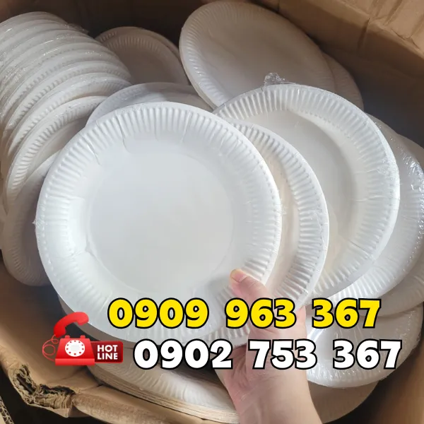 DĨA GIẤY SINH NHẬT