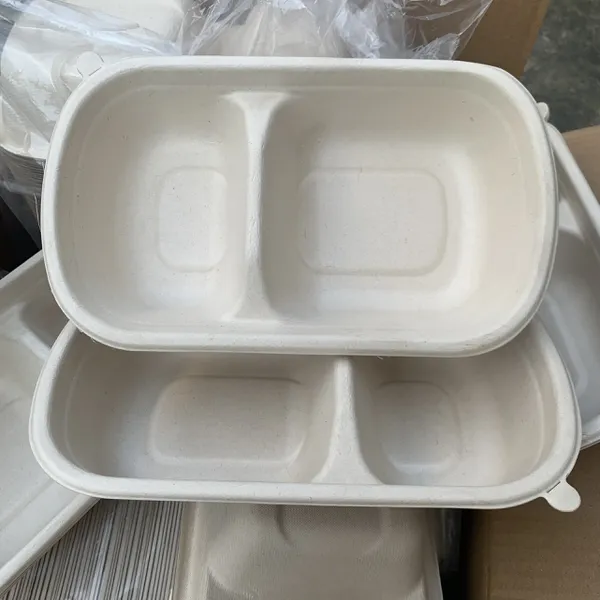 HỘP BÃ MÍA 2 NGĂN NẮP NHỰA