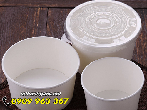 ĐỊA CHỈ BÁN TÔ GIẤY ĐỰNG BÚN PHỞ MANG VỀ