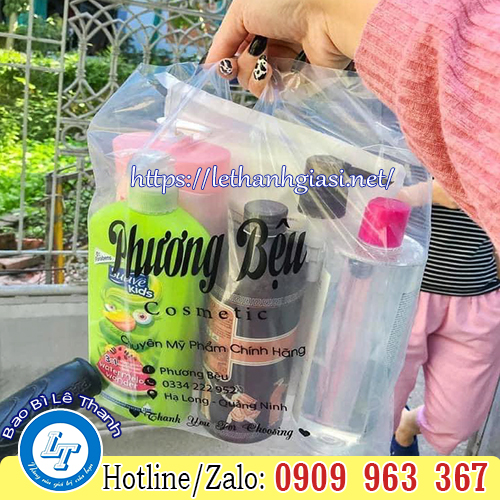 MUA TÚI HỘT XOÀI GIÁ SỈ Ở ĐÂU TPHCM? túi hột xoài trong suốt đựng mỹ phẩm