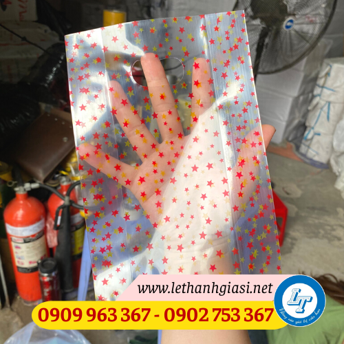 Nơi bán túi hột xoài trong suốt có in giá rẻ hấp dẫn túi hột xoài trong suốt in hình ngôi sao