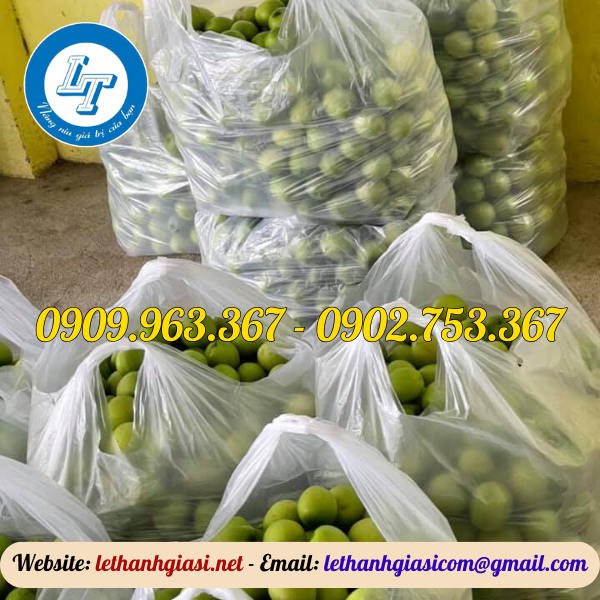 NHÀ CUNG CẤP TÚI NI LÔNG, TÚI BÓNG GIÁ RẺ TPHCM túi xốp gai