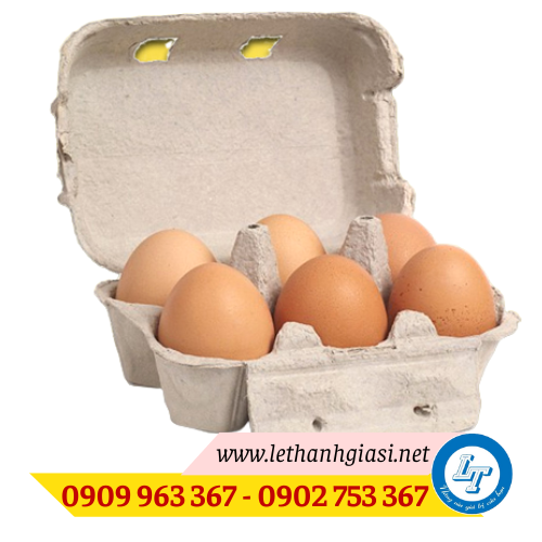 Hộp đựng trứng bằng giấy có nắp giá rẻ vỉ giấy đựng trứng 6 quả