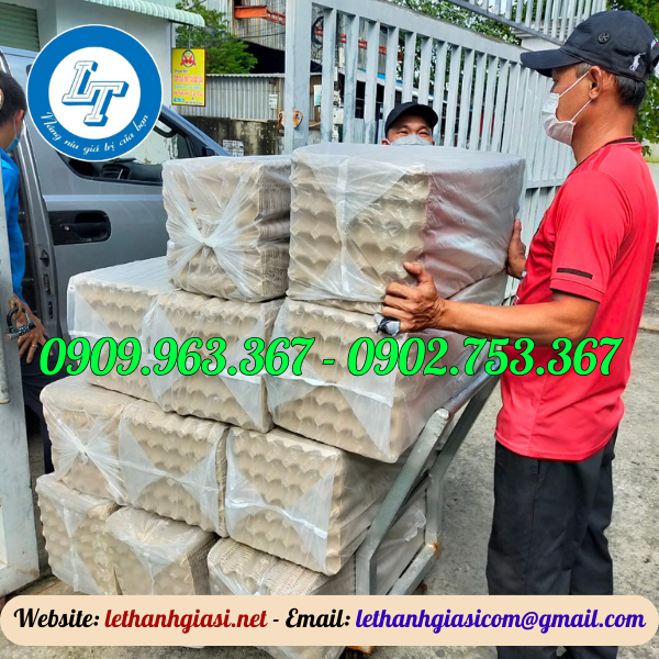 KHAY TRỨNG GIẤY HÀNG VIỆT NAM GIÁ SỈ TẠI NHÀ MÁY khay giấy đựng trứng