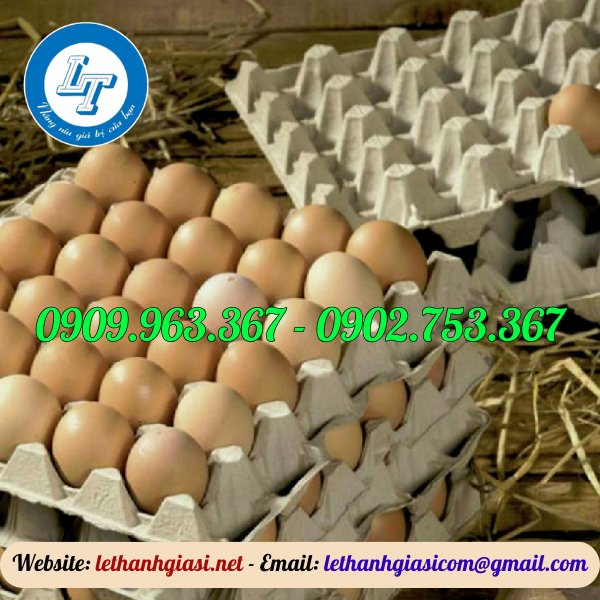 KHAY TRỨNG GIẤY HÀNG VIỆT NAM GIÁ SỈ TẠI NHÀ MÁY khay giấy đựng trứng gà vịt