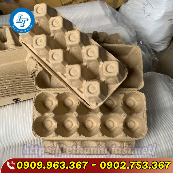 NHẬP SỈ HỘP GIẤY ĐỰNG TRỨNG 10 QUẢ Ở ĐÂU GIÁ TỐT NHẬP SỈ HỘP GIẤY ĐỰNG TRỨNG 10 QUẢ Ở ĐÂU GIÁ TỐT