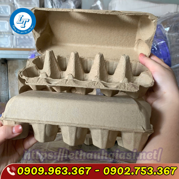 NHẬP SỈ HỘP GIẤY ĐỰNG TRỨNG 10 QUẢ Ở ĐÂU GIÁ TỐT NHẬP SỈ HỘP GIẤY ĐỰNG TRỨNG 10 QUẢ Ở ĐÂU GIÁ TỐT