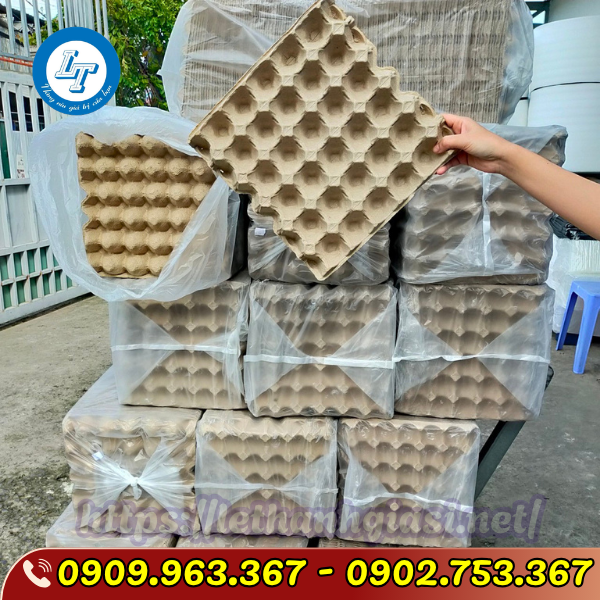 NHẬP SỈ HỘP GIẤY ĐỰNG TRỨNG 10 QUẢ Ở ĐÂU GIÁ TỐT NHẬP SỈ HỘP GIẤY ĐỰNG TRỨNG 10 QUẢ Ở ĐÂU GIÁ TỐT