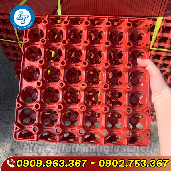 VỈ TRỨNG NHỰA CỨNG 30 QUẢ ĐỦ MÀU GIÁ SỈ VỈ TRỨNG NHỰA CỨNG 30 QUẢ ĐỦ MÀU GIÁ SỈ
