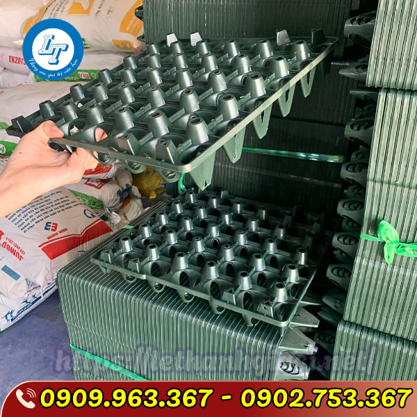 VỈ TRỨNG NHỰA CỨNG 30 QUẢ ĐỦ MÀU GIÁ SỈ VỈ TRỨNG NHỰA CỨNG 30 QUẢ ĐỦ MÀU GIÁ SỈ