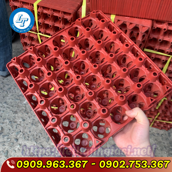 TÌM MUA VỈ NHỰA ĐỰNG TRỨNG GÀ VỊT 30 QUẢ GIÁ SỈ RẺ TPHCM vỉ nhựa đựng trứng 30 quả