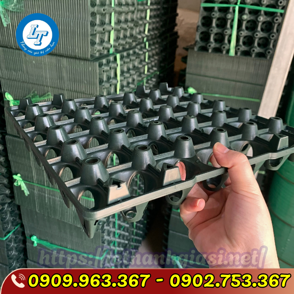 TÌM MUA VỈ NHỰA ĐỰNG TRỨNG GÀ VỊT 30 QUẢ GIÁ SỈ RẺ TPHCM vỉ nhựa đựng trứng 30 quả