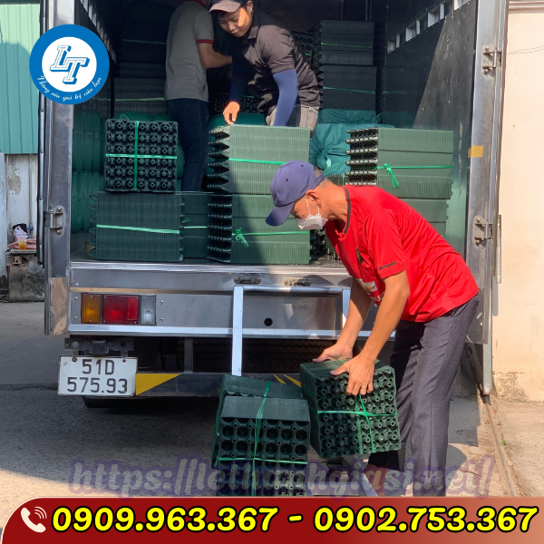 TÌM MUA VỈ NHỰA ĐỰNG TRỨNG GÀ VỊT 30 QUẢ GIÁ SỈ RẺ TPHCM lê thanh bán sỉ vỉ nhựa đựng trứng gà vịt