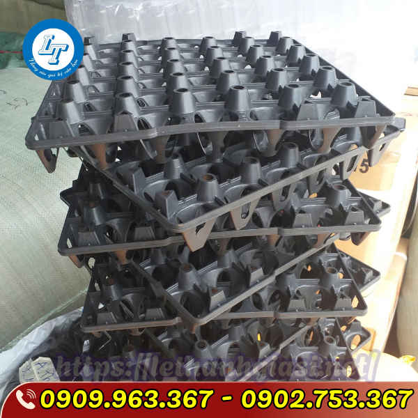 TÌM MUA VỈ NHỰA ĐỰNG TRỨNG GÀ VỊT 30 QUẢ GIÁ SỈ RẺ TPHCM vỉ nhựa đựng trứng màu đen