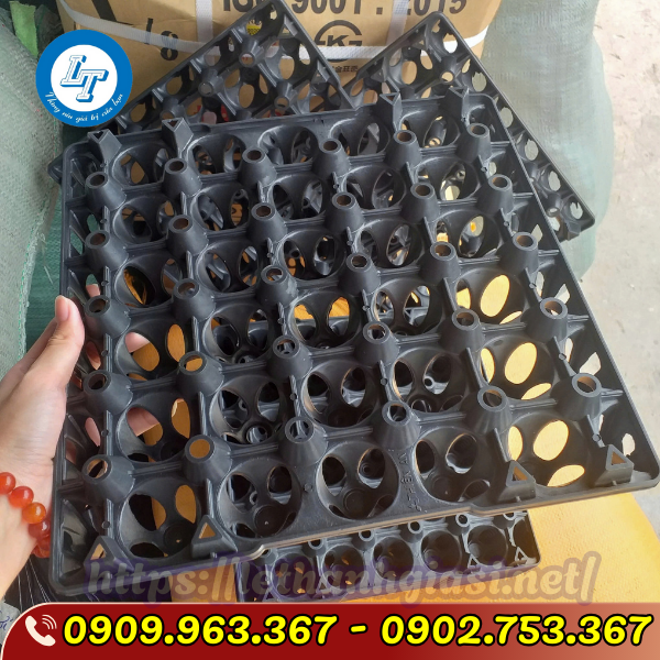 TÌM MUA VỈ NHỰA ĐỰNG TRỨNG GÀ VỊT 30 QUẢ GIÁ SỈ RẺ TPHCM vỉ nhựa đựng trứng màu đen