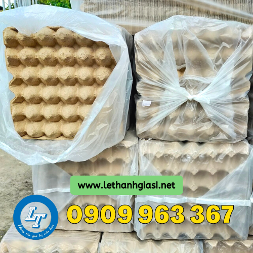 Nơi bán vỉ giấy đựng trứng gà, trứng vịt giá rẻ chất lượng vỉ trứng bằng giấy