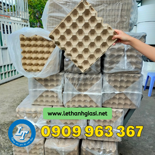 Nơi bán vỉ giấy đựng trứng gà, trứng vịt giá rẻ chất lượng vỉ trứng làm bằng giấy