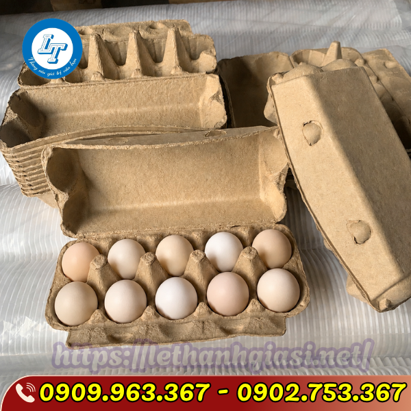 NHẬP SỈ HỘP GIẤY ĐỰNG TRỨNG 10 QUẢ Ở ĐÂU GIÁ TỐT NHẬP SỈ HỘP GIẤY ĐỰNG TRỨNG 10 QUẢ Ở ĐÂU GIÁ TỐT