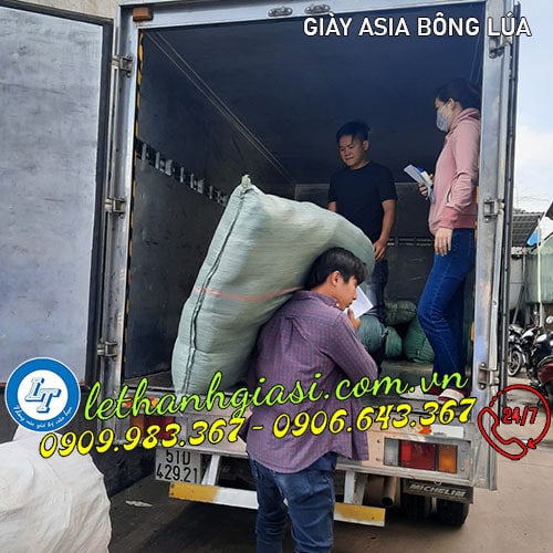 Bán buôn bỏ sỉ GIÀY ASIA rẻ nhất freeship Bán buôn bỏ sỉ GIÀY ASIA rẻ nhất freeship
