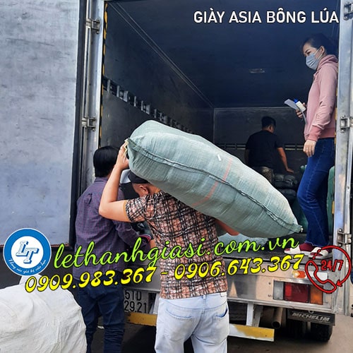 Bán buôn bỏ sỉ GIÀY ASIA rẻ nhất freeship Bán buôn bỏ sỉ GIÀY ASIA rẻ nhất freeship