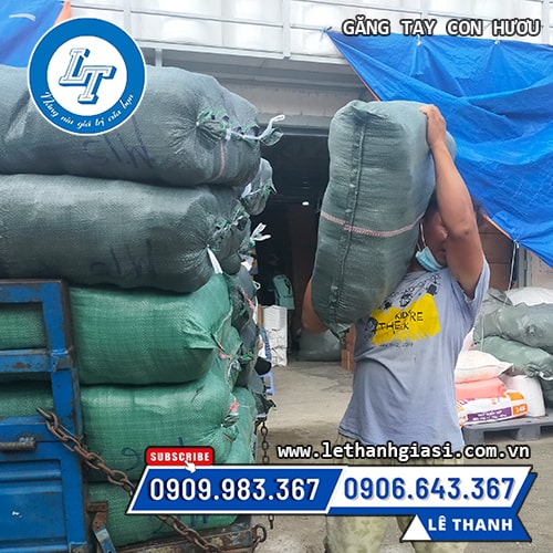 mua găng tay cao su hình hươu giá sỉ ở đâu mua găng tay cao su hình hươu giá sỉ ở đâu