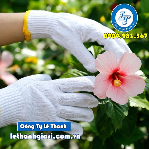 bao tay len kem trắng thích hợp cho nam và nữ bao tay len kem trắng thích hợp cho nam và nữ