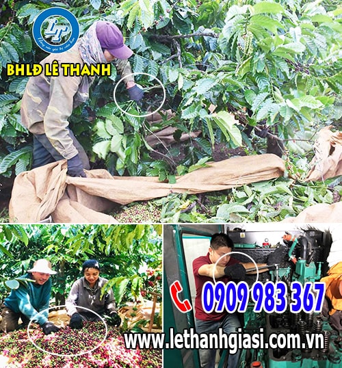 Ứng dụng của găng tay len xám đen