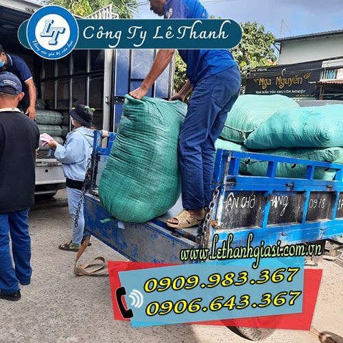 chuyên sỉ ủng bảo hộ việt mã xanh rằn ri chuyên sỉ ủng bảo hộ việt mã xanh rằn ri