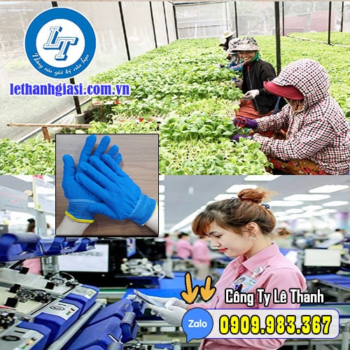 bao tay vải Poly mỏng xanh đậm viền vàng co giãn bao tay vải Poly mỏng xanh đậm viền vàng co giãn