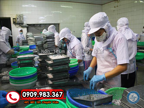 nón trùm đầu thủy sản giá rẻ bất ngờ dành cho đại lý nón thủy sản