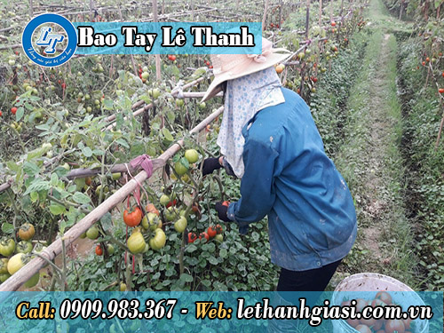 Bao tay xỏ 5 ngón xám đen dùng trong công nghiệp bao tay xám đen