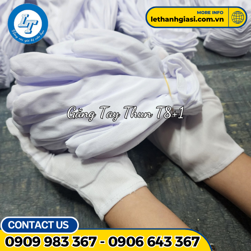 găng tay thun T8+1 1 găng tay thun T8+1 1
