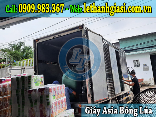 giày asia bông lúa bảo vệ chân hợp thời trang nhất asia bông lúa