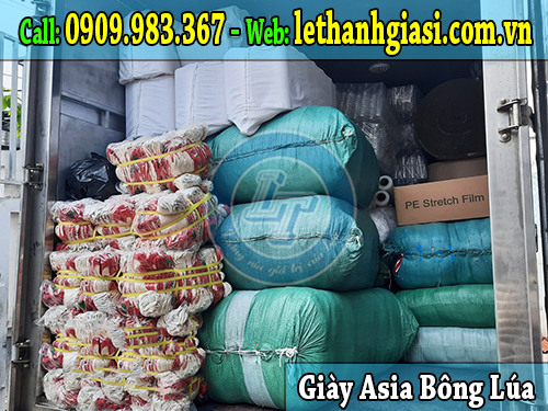 giày asia bông lúa bảo vệ chân hợp thời trang nhất asia bông lúa