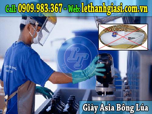 giày asia bông lúa bảo vệ chân hợp thời trang nhất asia bông lúa