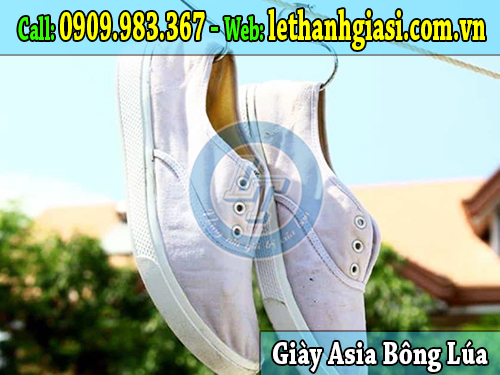 giày asia bông lúa bảo vệ chân hợp thời trang nhất asia bông lúa