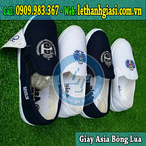 giày asia bông lúa bảo vệ chân hợp thời trang nhất asia bông lúa