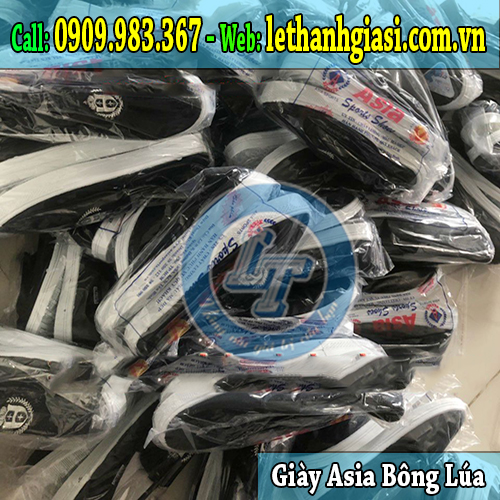 giày asia bông lúa bảo vệ chân hợp thời trang nhất asia bông lúa