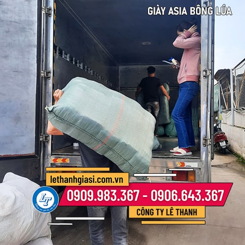 Mua giày lười Asia bông lúa không dây Mua giày lười Asia bông lúa không dây